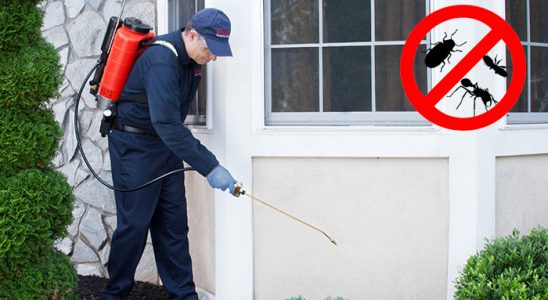 Örnekköy Kene İlaçlama böcek ilaçlama ve haşere kontrolü — ilaclama-tr.com